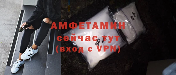 шишки Арсеньев