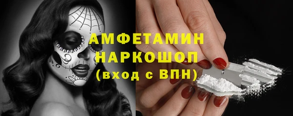 шишки Арсеньев