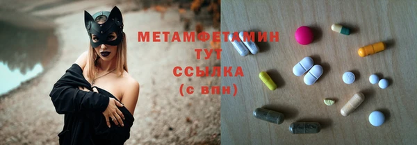 шишки Арсеньев