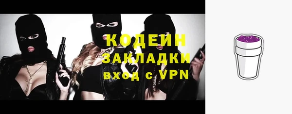 шишки Арсеньев