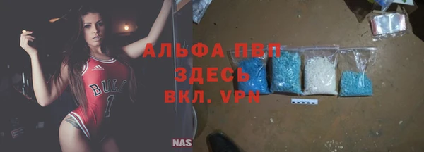 шишки Арсеньев