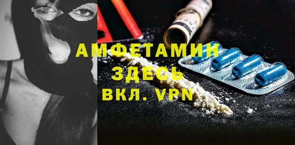 шишки Арсеньев