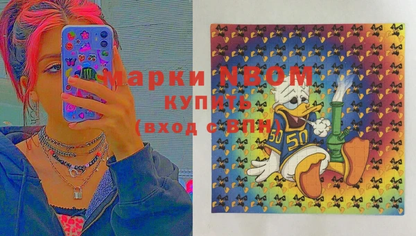 шишки Арсеньев