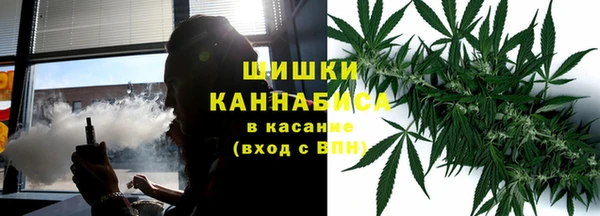бошки Аркадак